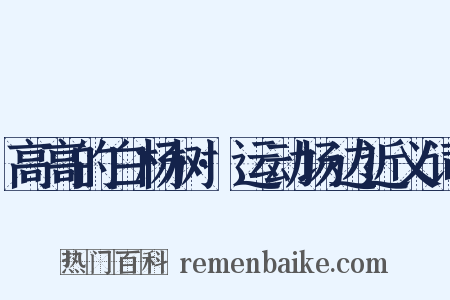 高高的白杨树·运动场边近义词是什么意思的图片